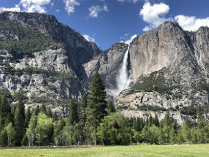 Innovation meets Sustainability